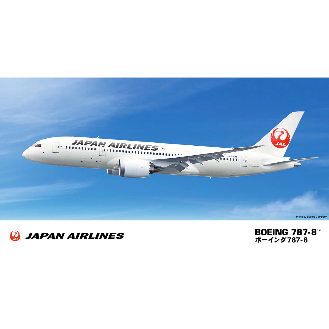 B787-8 JAL (1/200 Scale) Aircraft Model Kit